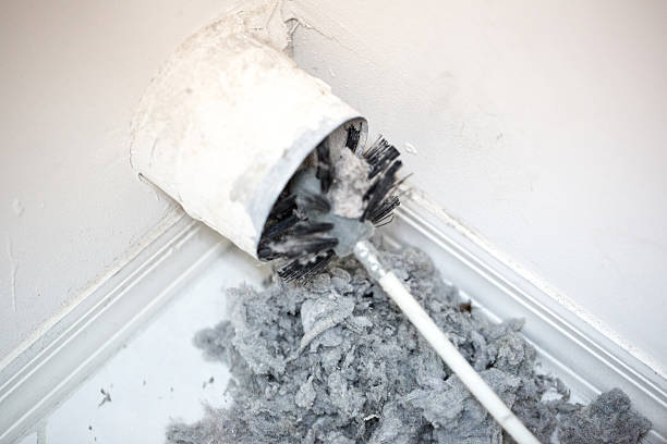 Best Mold and Mildew Removal from Ducts in USA